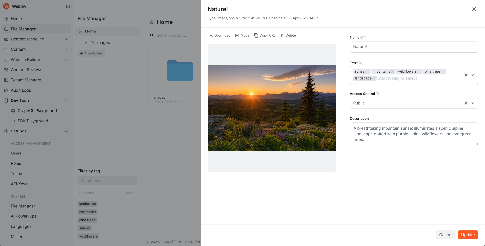AI-generated tags and description in the File Manager file details panel